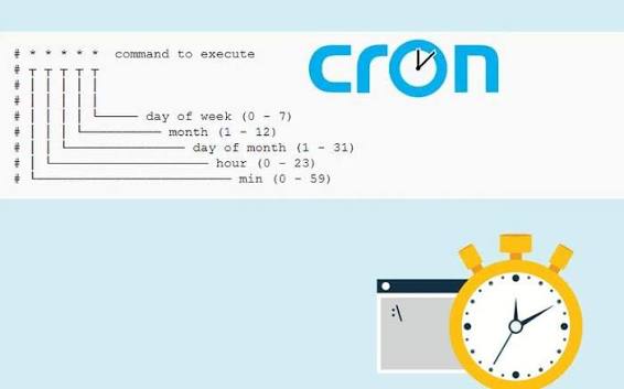 cPanel'de Cron Job
