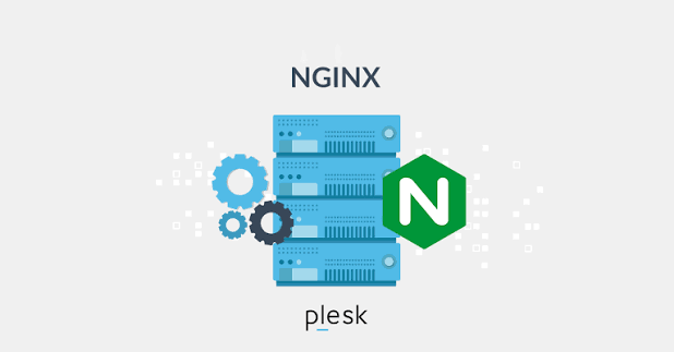 Plesk'te Nginx ve Apache ayarları